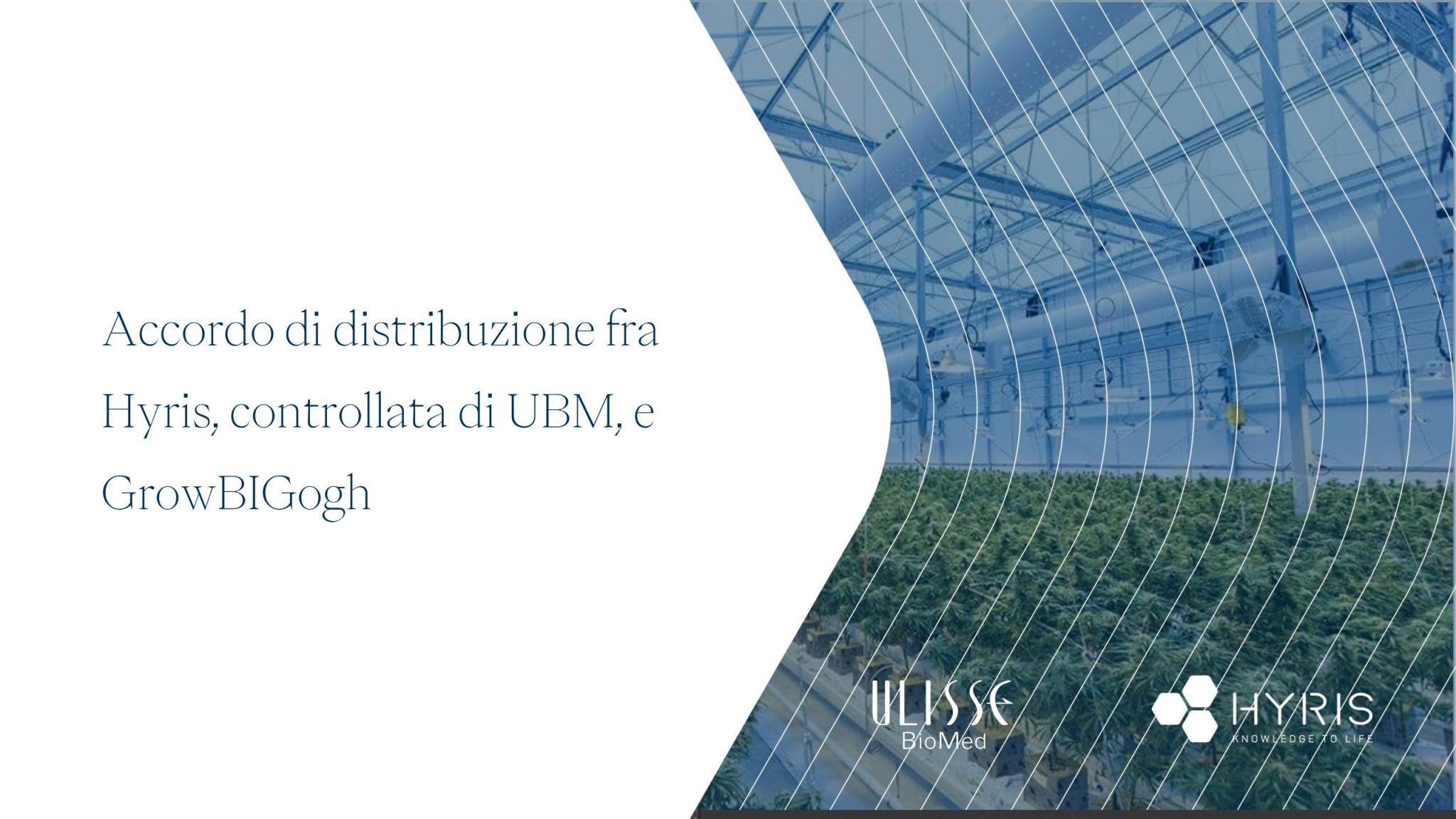 Nuovo accordo di distribuzione con GrowBIGOgh