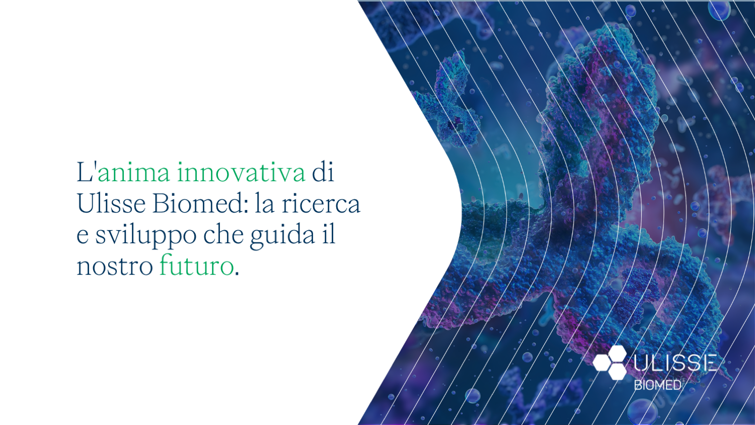 L'anima innovativa di Ulisse Biomed: la ricerca e sviluppo che guida il nostro futuro